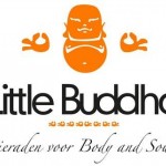 Little Buddha Antwerpen Vlasmarkt 9 